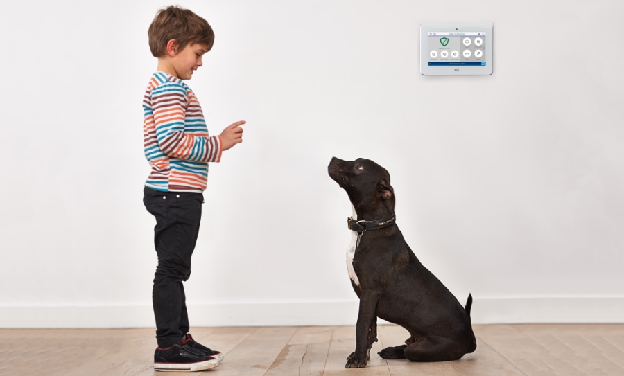 Randallstown security systems